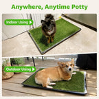 Pick For Life potty patch used on balcony