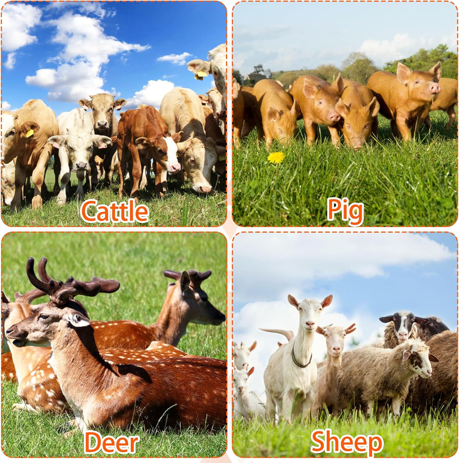 Yellow livestock scratch brush kit for farm animal hygiene