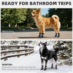 Top view of honeycomb black dog socks for medium dogs
