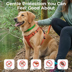 FurLife dog collar adjustable strap detail