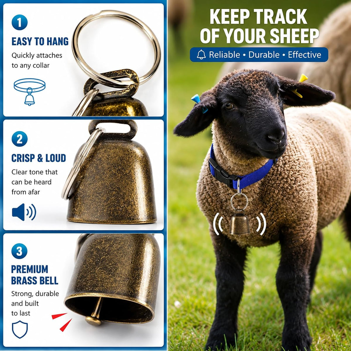 Detailed view of the durable brass grazing bell attached to the D-ring