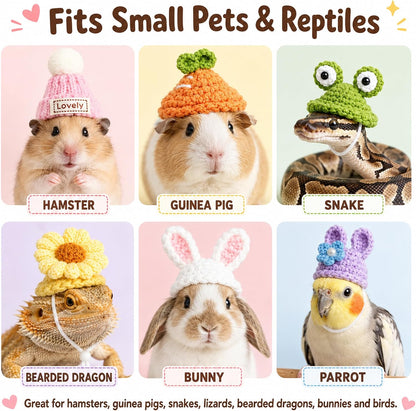 Adjustable miniature pet hats with elastic straps on a white background