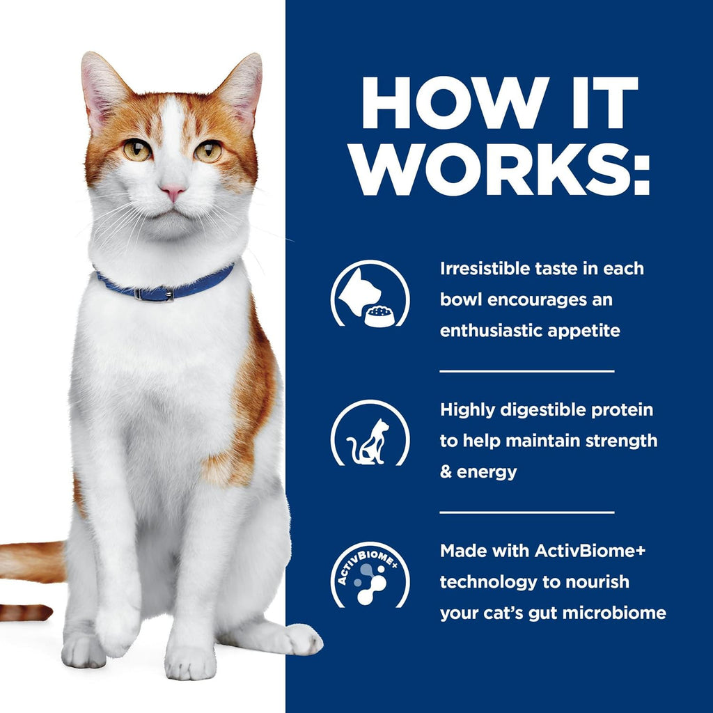 Hill's Prescription Diet ONC Care dry cat food premium pet clinical nutrition