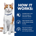 Hill's Prescription Diet ONC Care dry cat food premium pet clinical nutrition