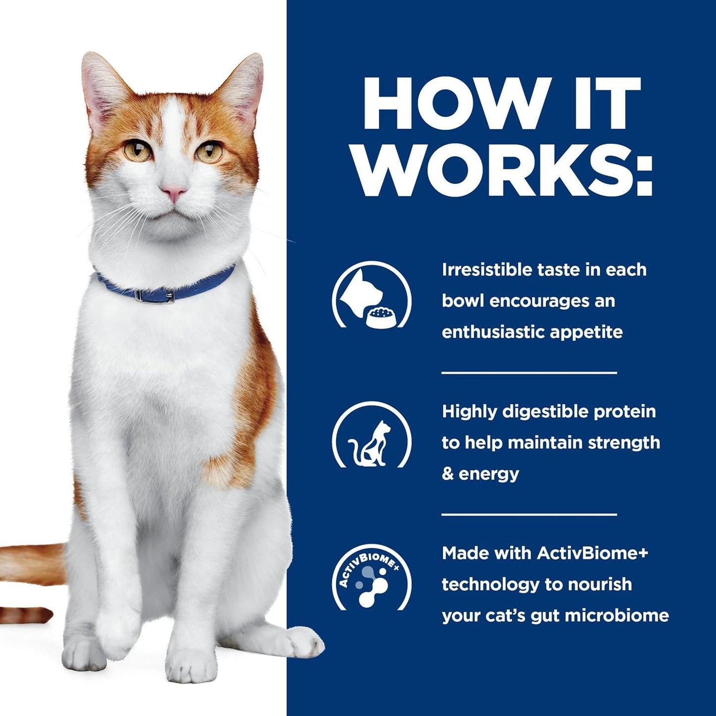 Hill's Prescription Diet ONC Care dry cat food premium pet clinical nutrition
