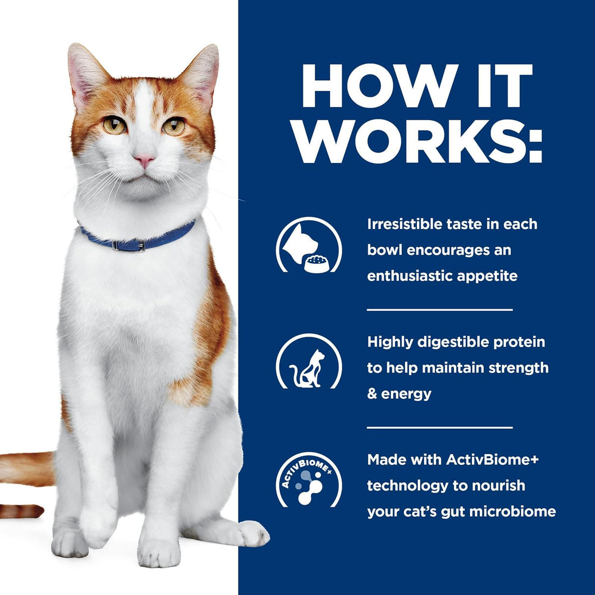 Hill's Prescription Diet ONC Care dry cat food premium pet clinical nutrition