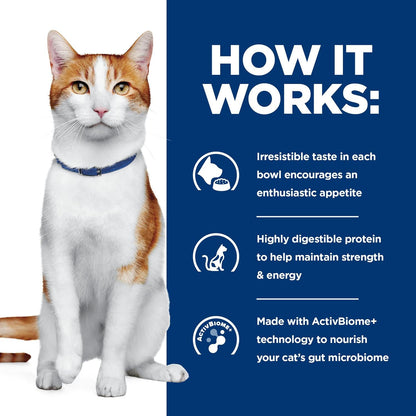 Hill's Prescription Diet ONC Care dry cat food premium pet clinical nutrition