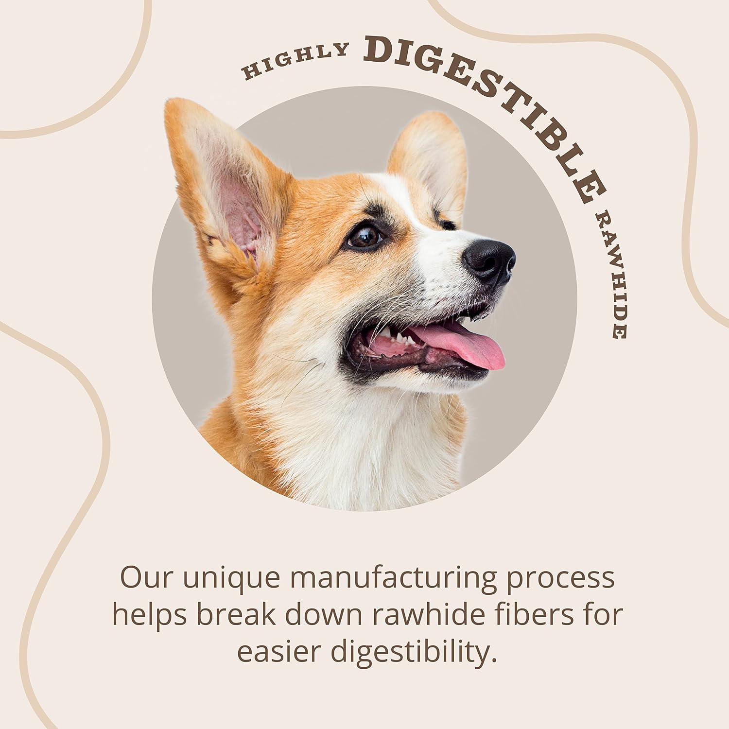Better Belly highly digestible rawhide alternative chips back label
