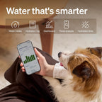 Petlibro smart pet fountain showing mobile app hydration dashboard