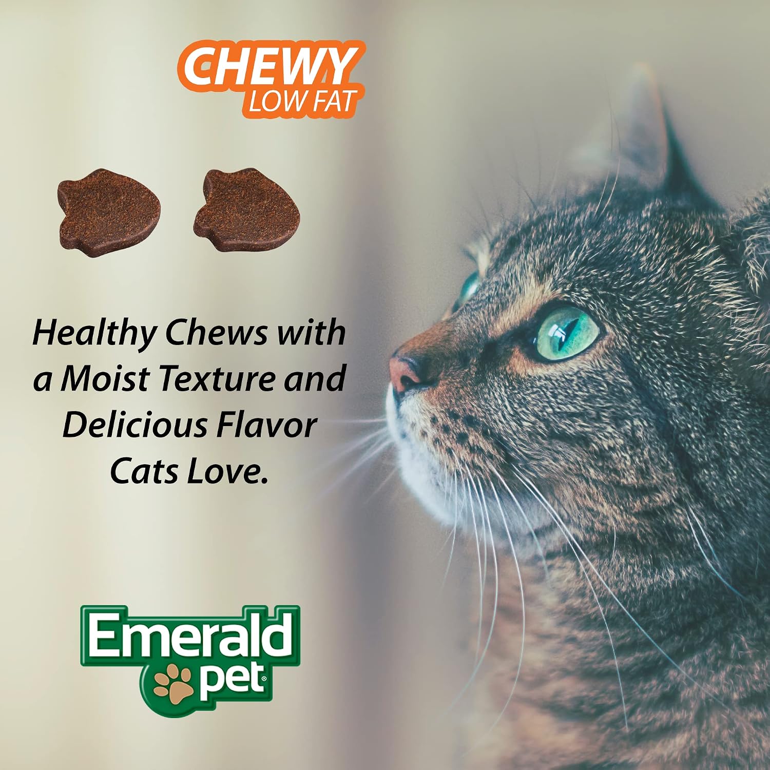 USA imported natural hairball elimination treats for cats displaying key health benefits.
