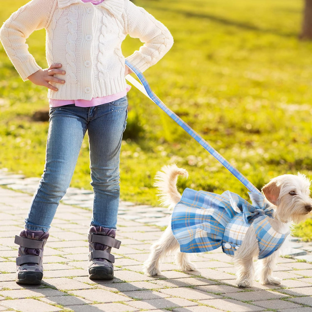 Detailed view of the secure metal leash attachment on the plaid pet dress harness.
