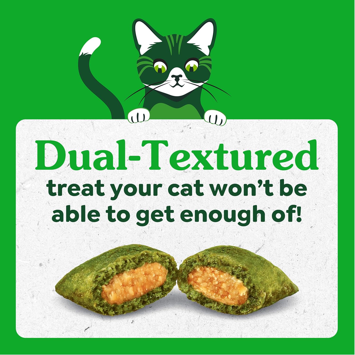 Greenies 16 Ounce tub of kitten treats next to a bowl of treats