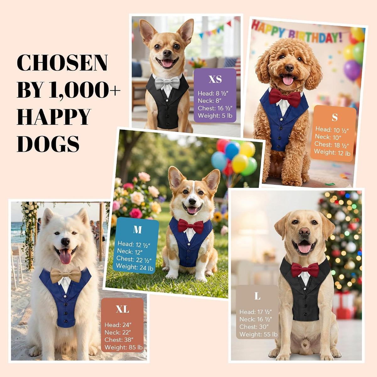 AVERYDAY formal outfit for medium large dogs showcasing the adjustable side security buckles