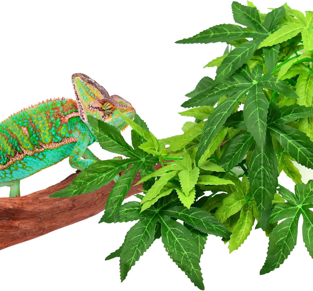 Katumo artificial plant set displayed inside a glass reptile enclosure
