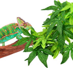 Katumo artificial plant set displayed inside a glass reptile enclosure