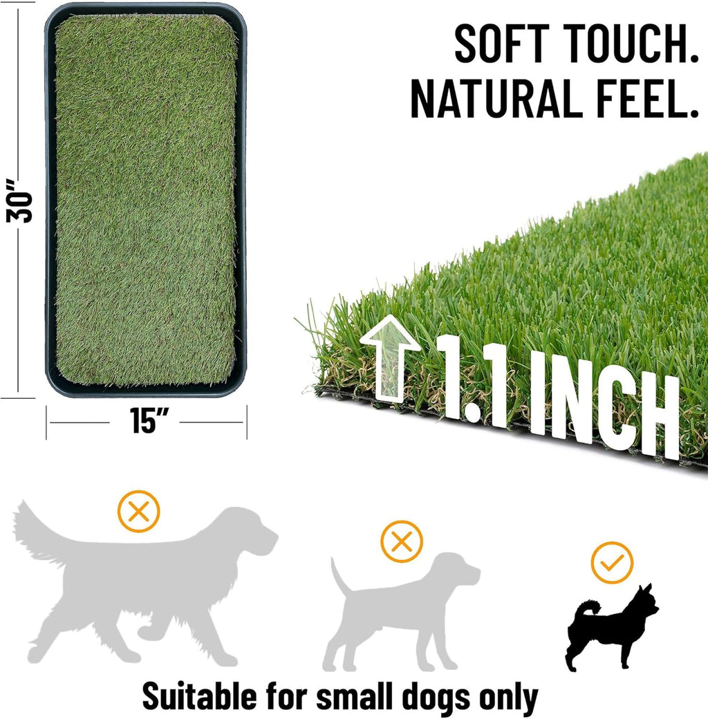 Small dog using Ottomanson artificial grass indoor potty