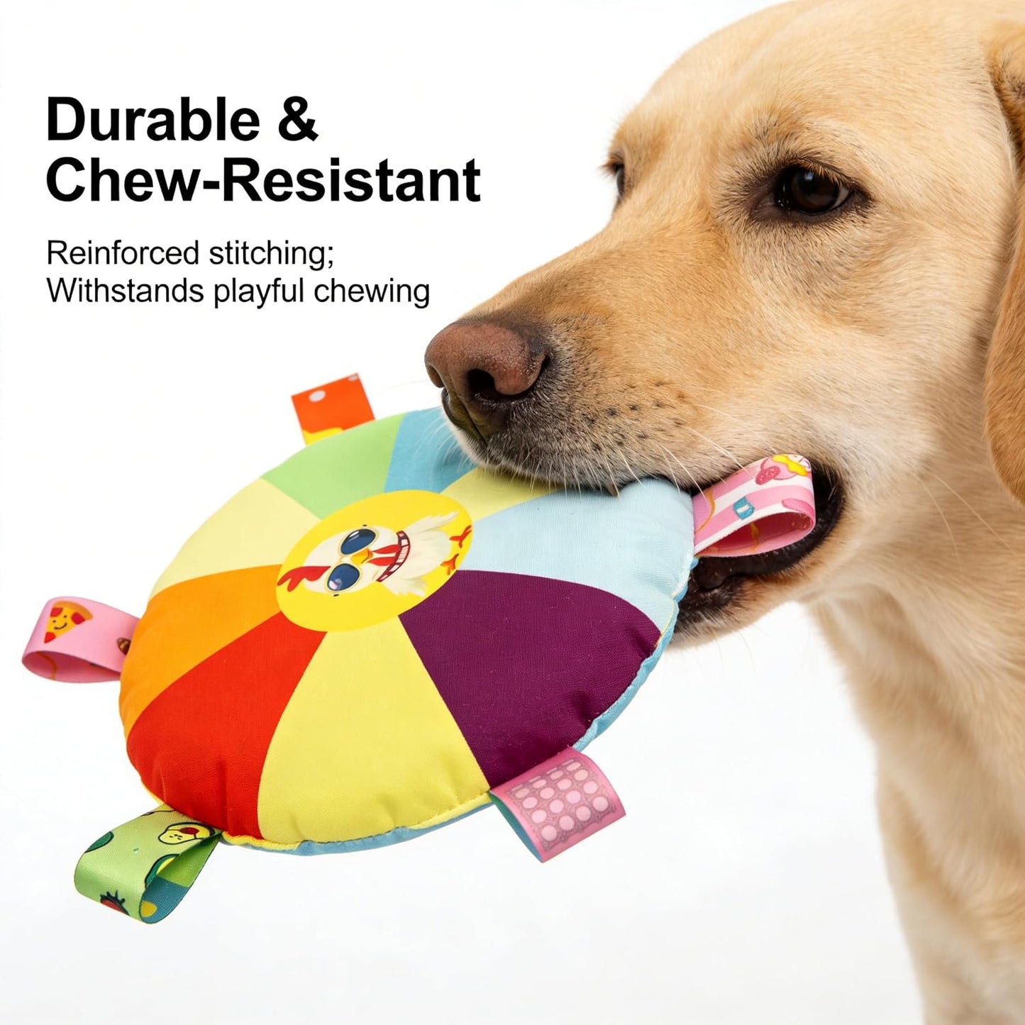Bulkee interactive pet toy for puppy training