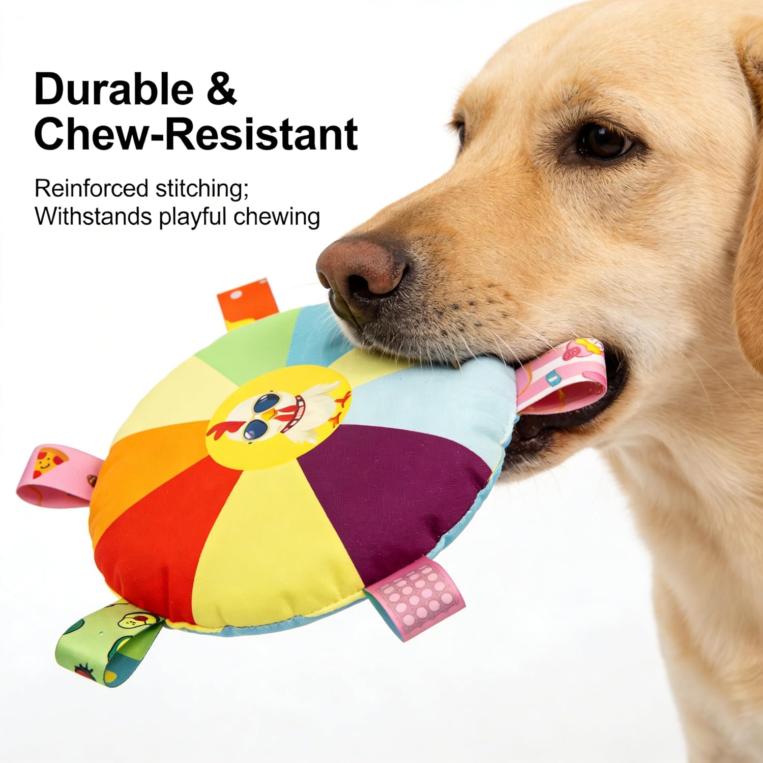 Bulkee interactive pet toy for puppy training