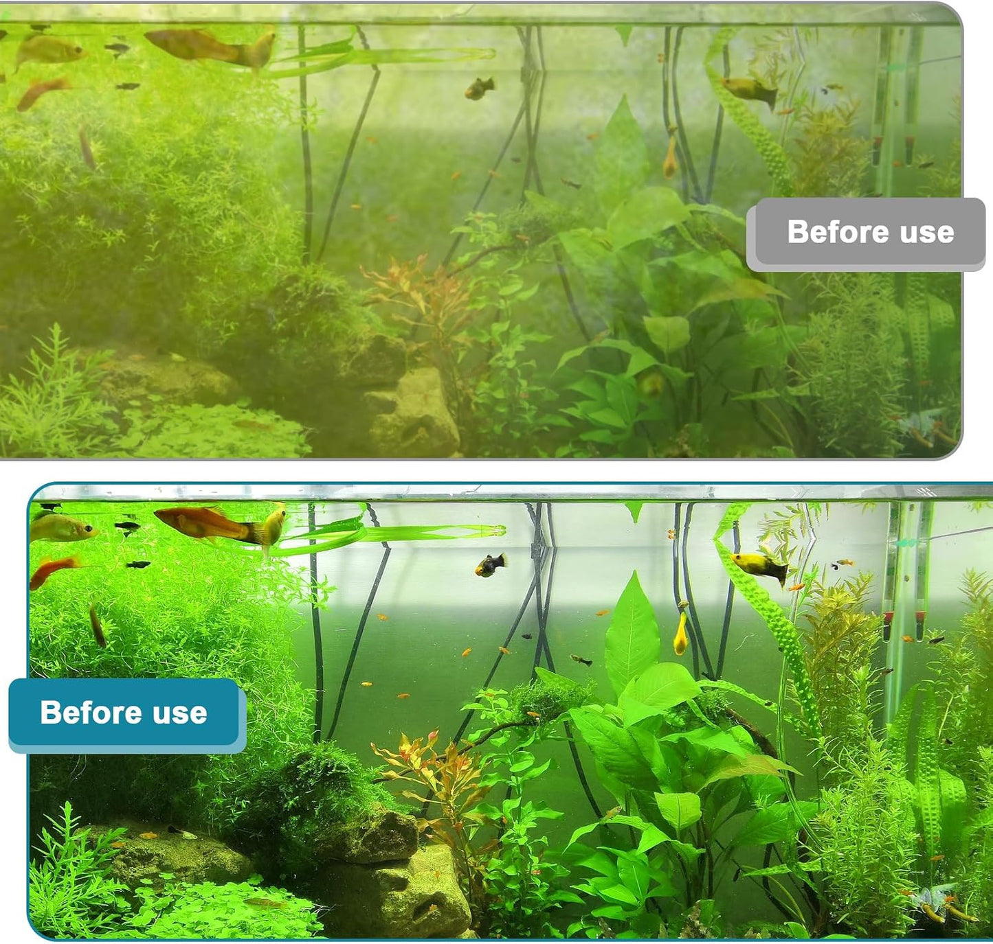 Hygger magnetic scraper effectively removing stubborn green algae from small aquariums