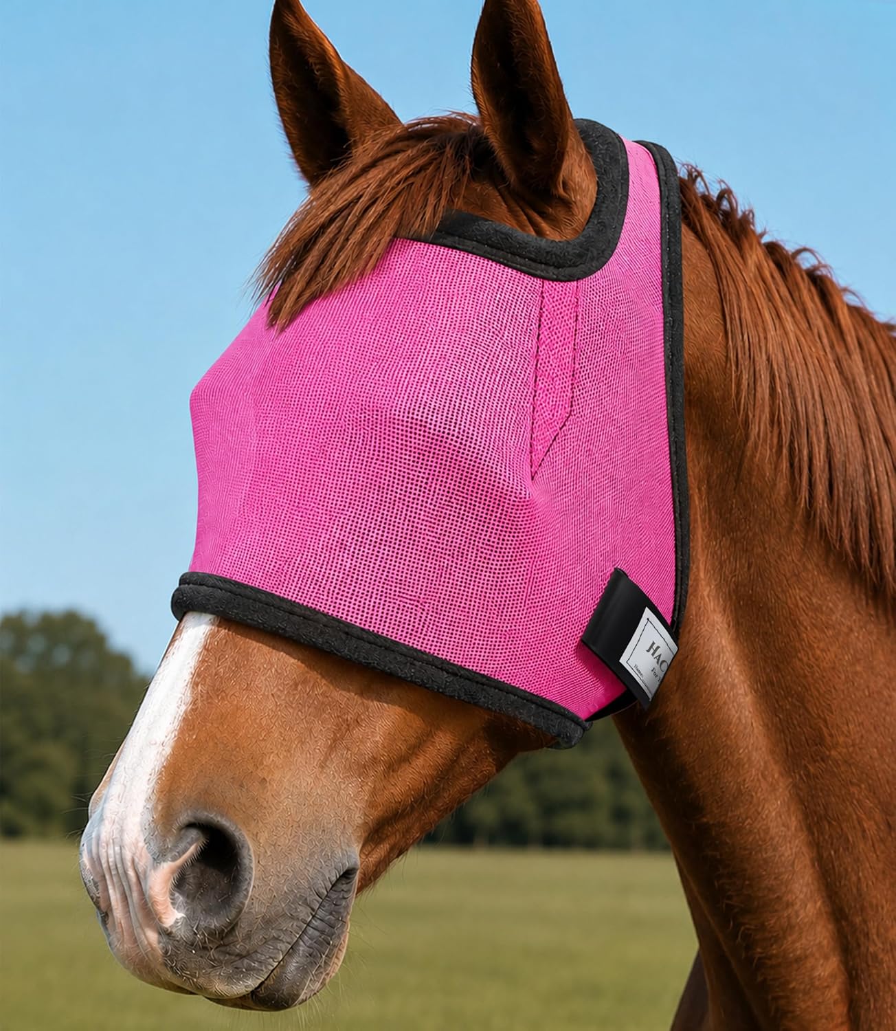 HackFond fly mask on horse pasture environment
