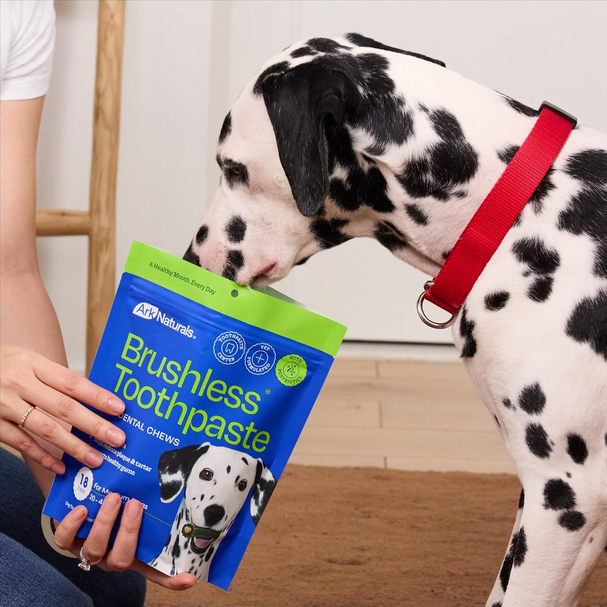 Size comparison and weight guide for medium breed dogs 20 to 40 lbs