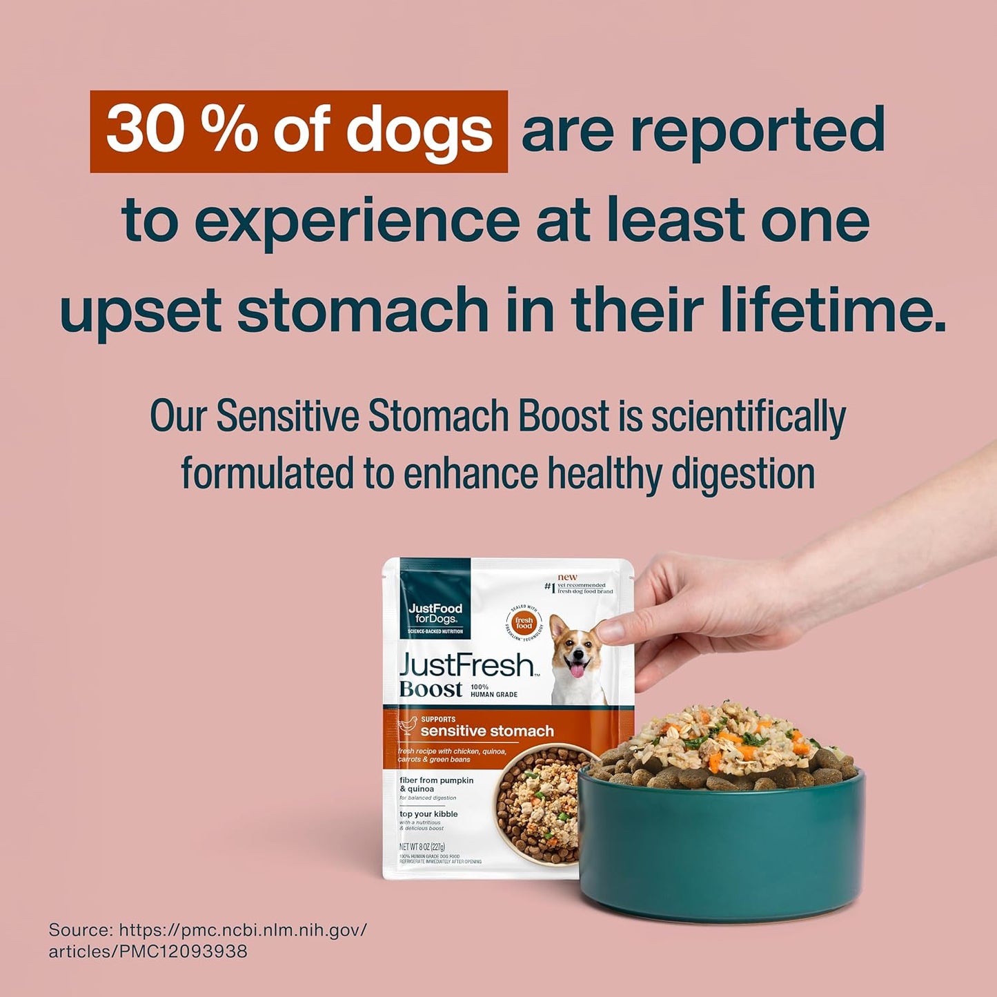Premium chicken and pumpkin dog meal booster for sensitive stomach