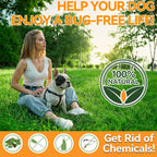 Carmelie natural skin and coat support dog chews displaying active ingredients like brewer's yeast and flaxseed