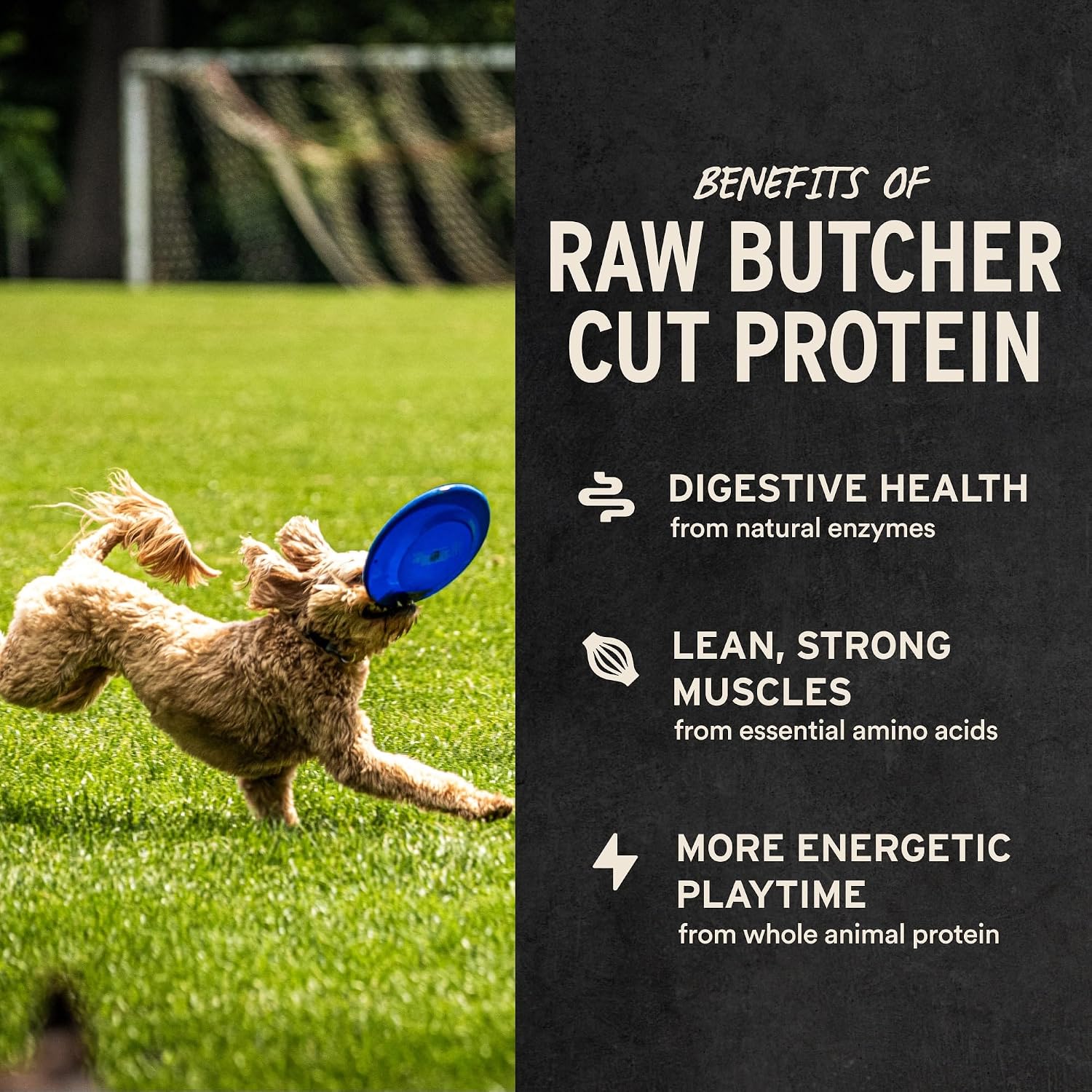 Grain free high protein butcher cut beef liver snacks for dogs