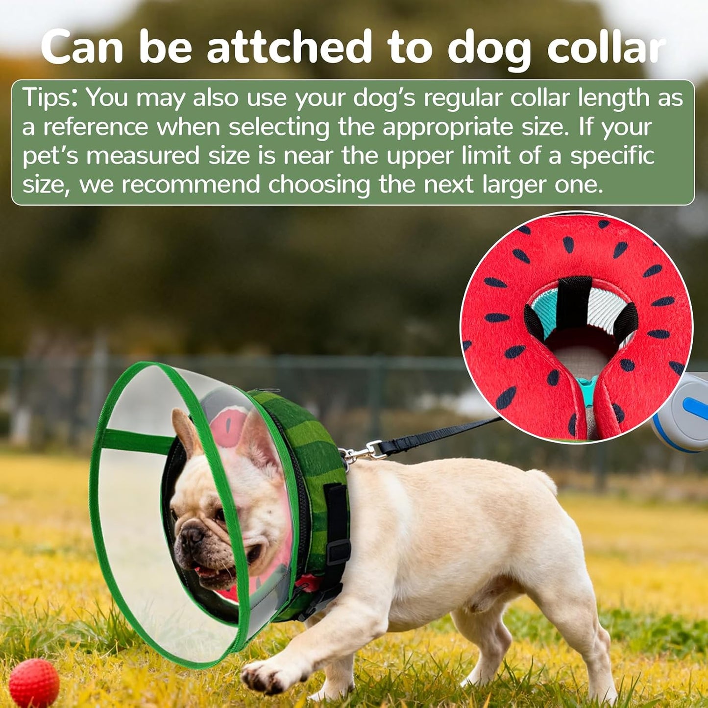 Seektik soft recovery cone collar neck strap adjustment