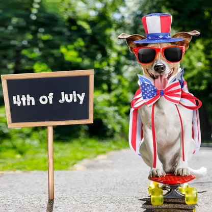 Medium sized dog posing comfortably in a USA imported pet costume