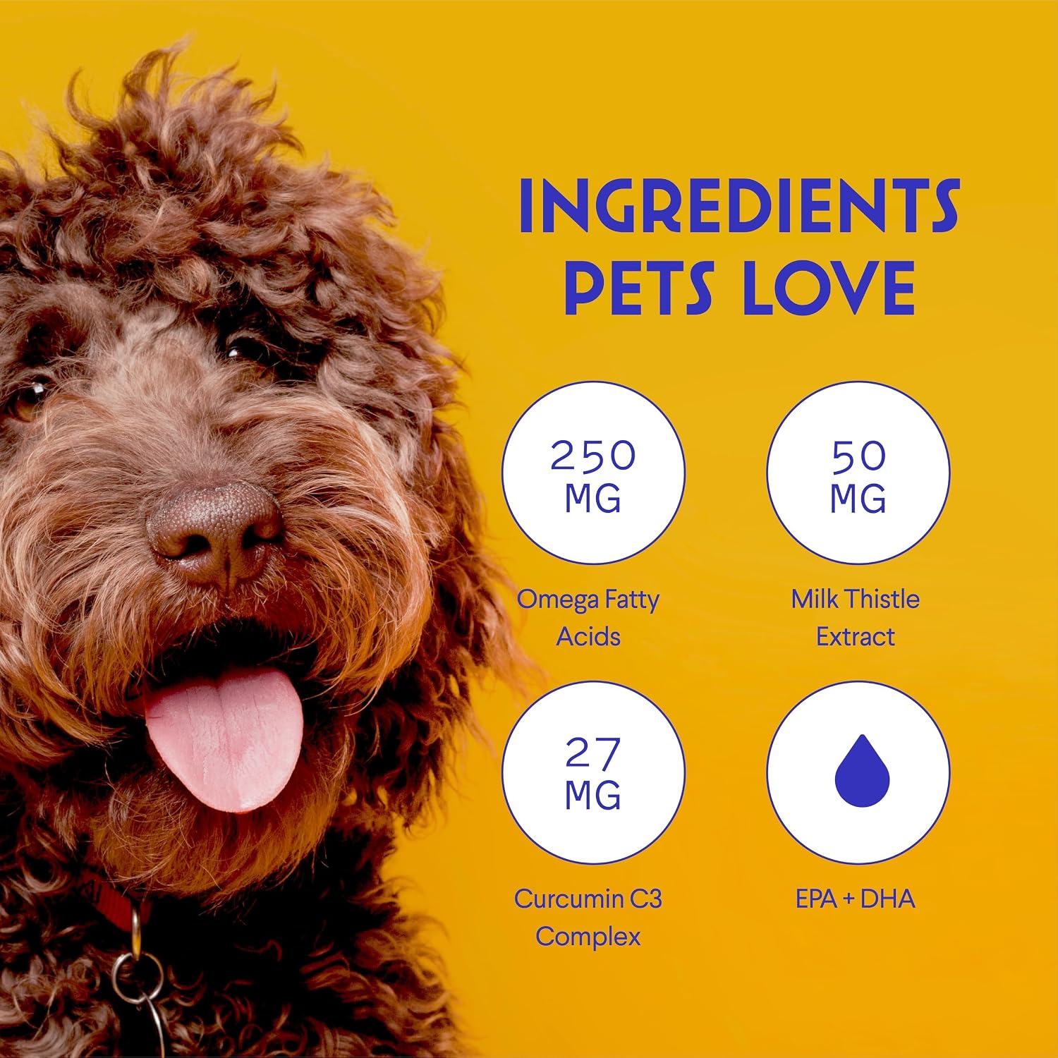 Wonder Paws liver and kidney support supplement bottle alongside a healthy dog.