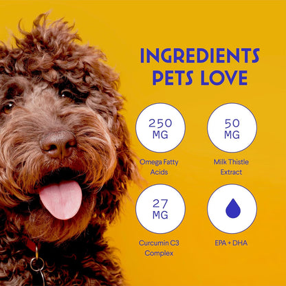 Wonder Paws liver and kidney support supplement bottle alongside a healthy dog.