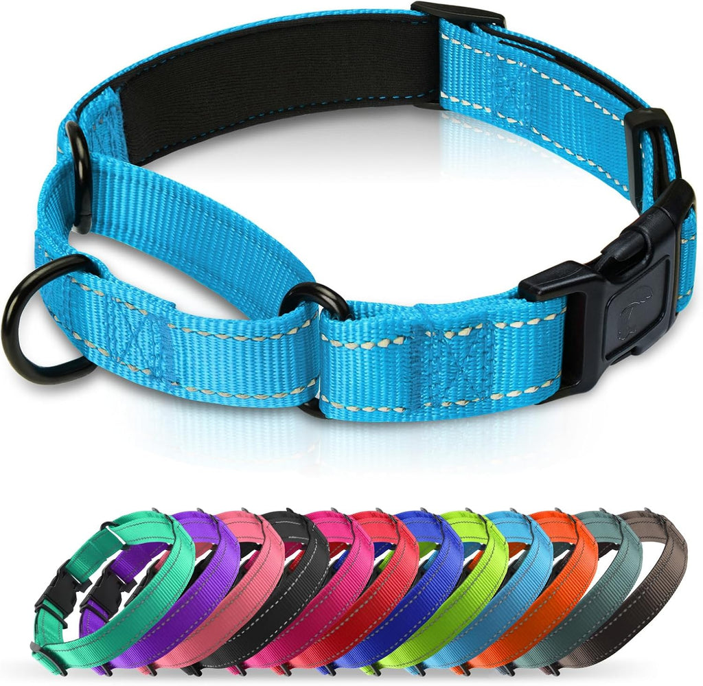 Martingale Collar for Dogs with Quick Release Buckle, Reflective Soft Padded & Escape Proof, Adjustable Nylon Dog Collars for Training & Daily Walking (Hotpink,M) - Image 11