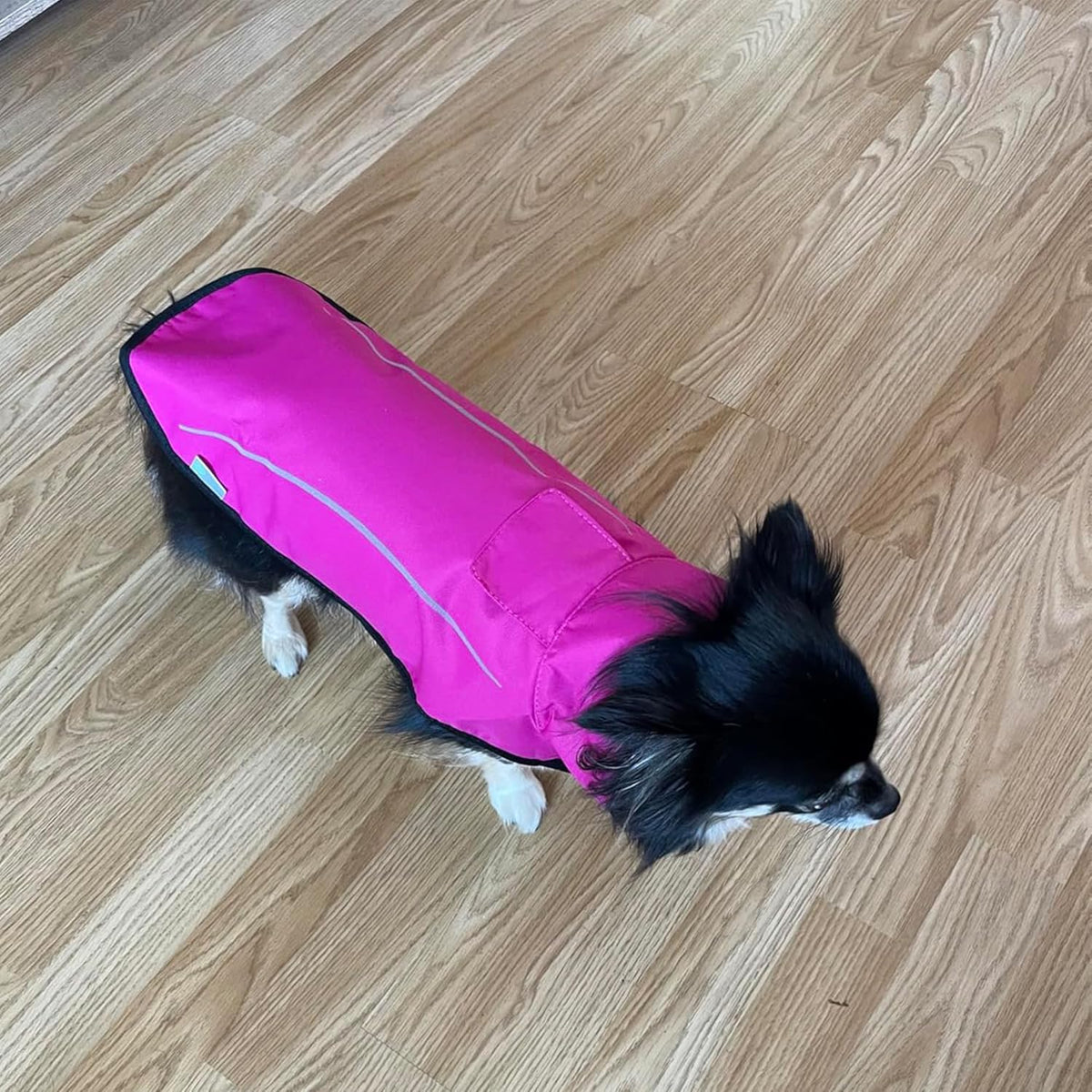 Mile High Life medium size pet slicker for large and small breeds