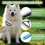 Ergonomic grooming scissors and flea brush set for professional home pet deshedding.