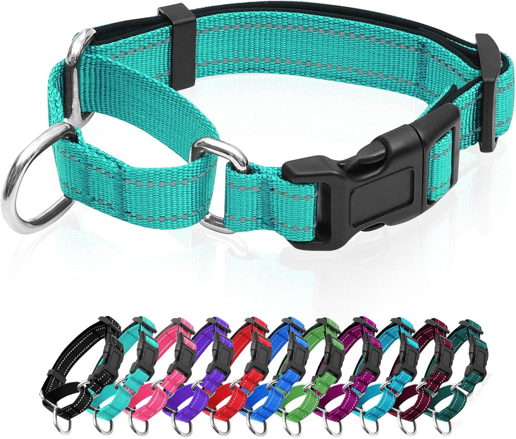 GDLKPS authentic imported nylon dog collar premium packaging presentation.