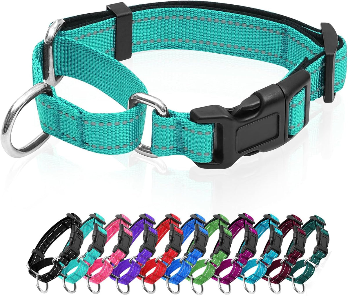 GDLKPS authentic imported nylon dog collar premium packaging presentation.
