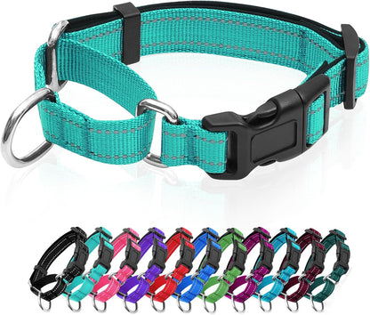 GDLKPS authentic imported nylon dog collar premium packaging presentation.