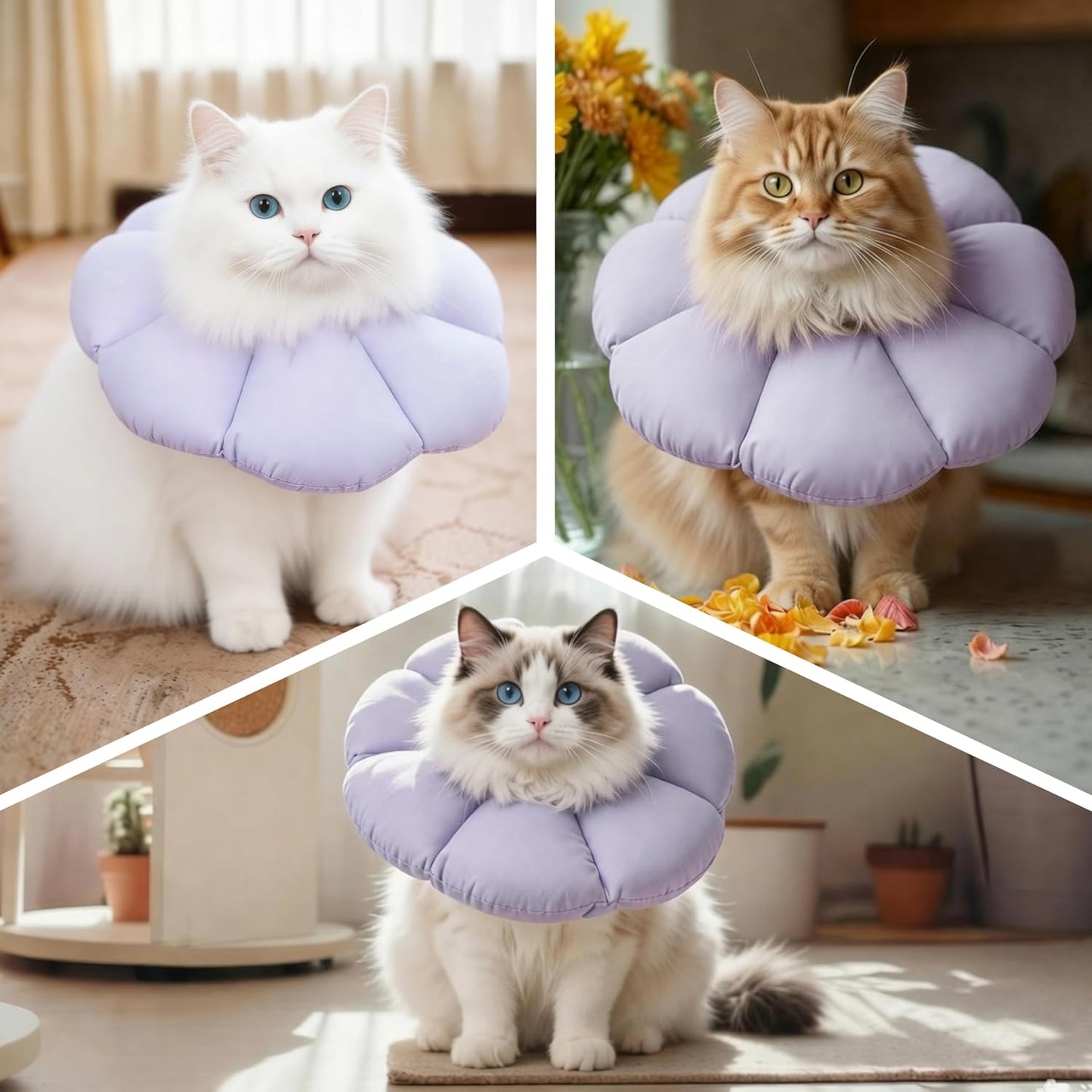 Durable water resistant cat surgical collar with adjustable neck circumference strap.