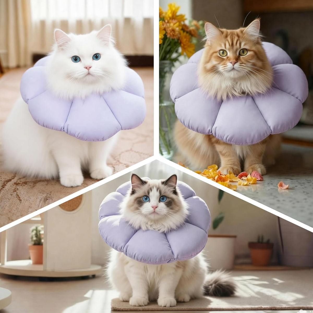 Durable water resistant cat surgical collar with adjustable neck circumference strap.