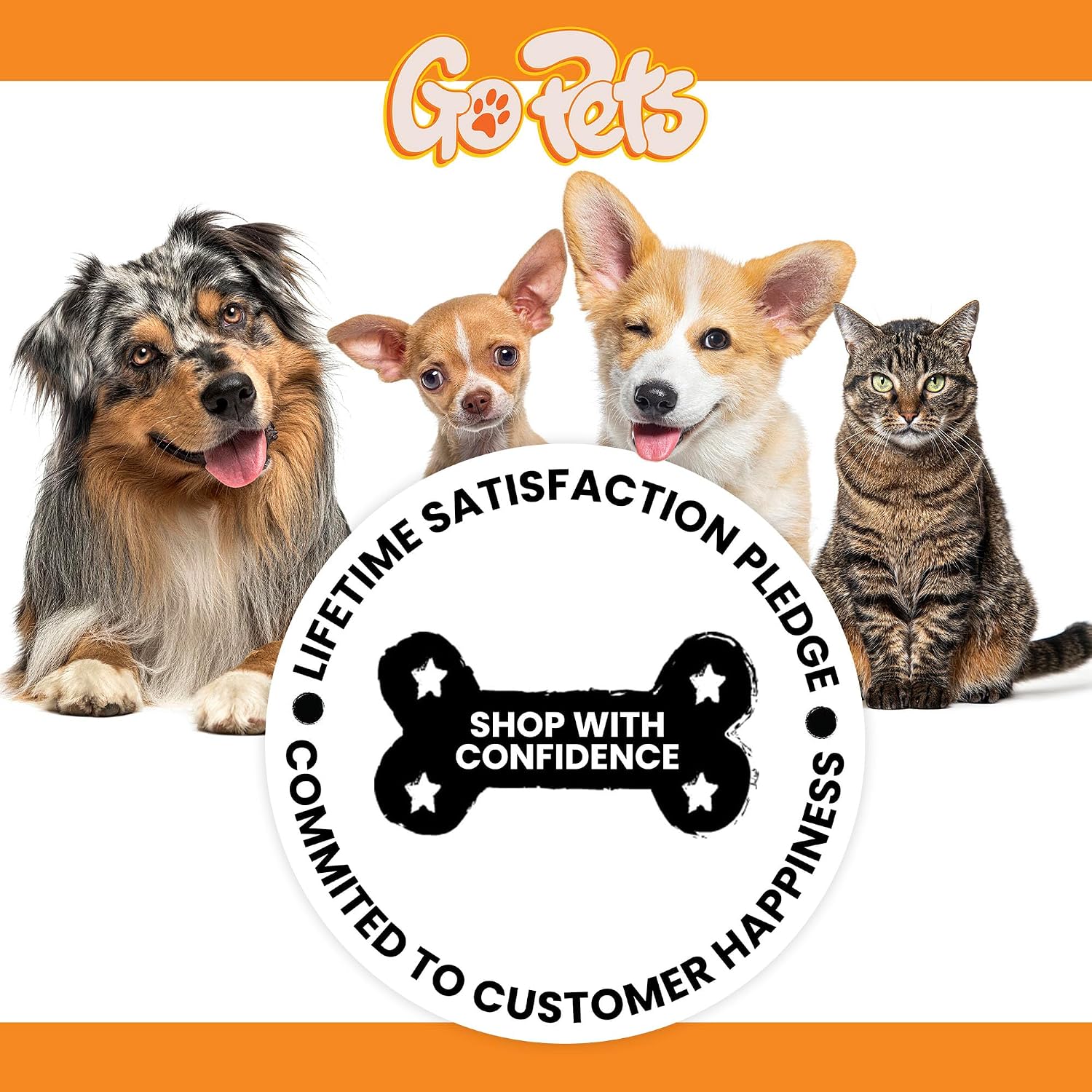 Professional grooming tool for dogs and cats on white background