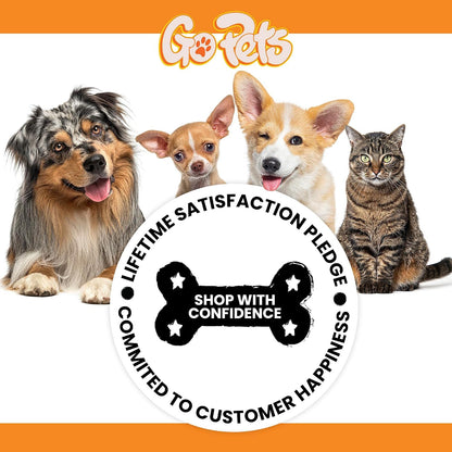 Professional grooming tool for dogs and cats on white background