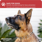 Downtown Pet Supply heavy duty steel dog collar side angle view