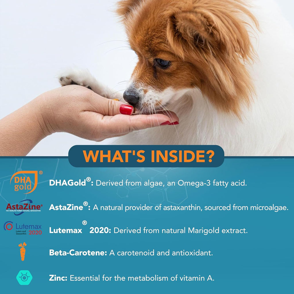 Chicken flavored canine vision support chews containing lutein and astaxanthin.