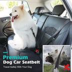 Adjustable nylon strap detail for dog car safety