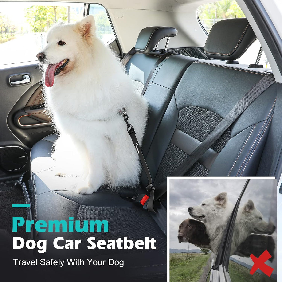 Adjustable nylon strap detail for dog car safety