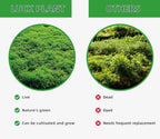 LUCKYRUNES moss for snake and turtle enclosures