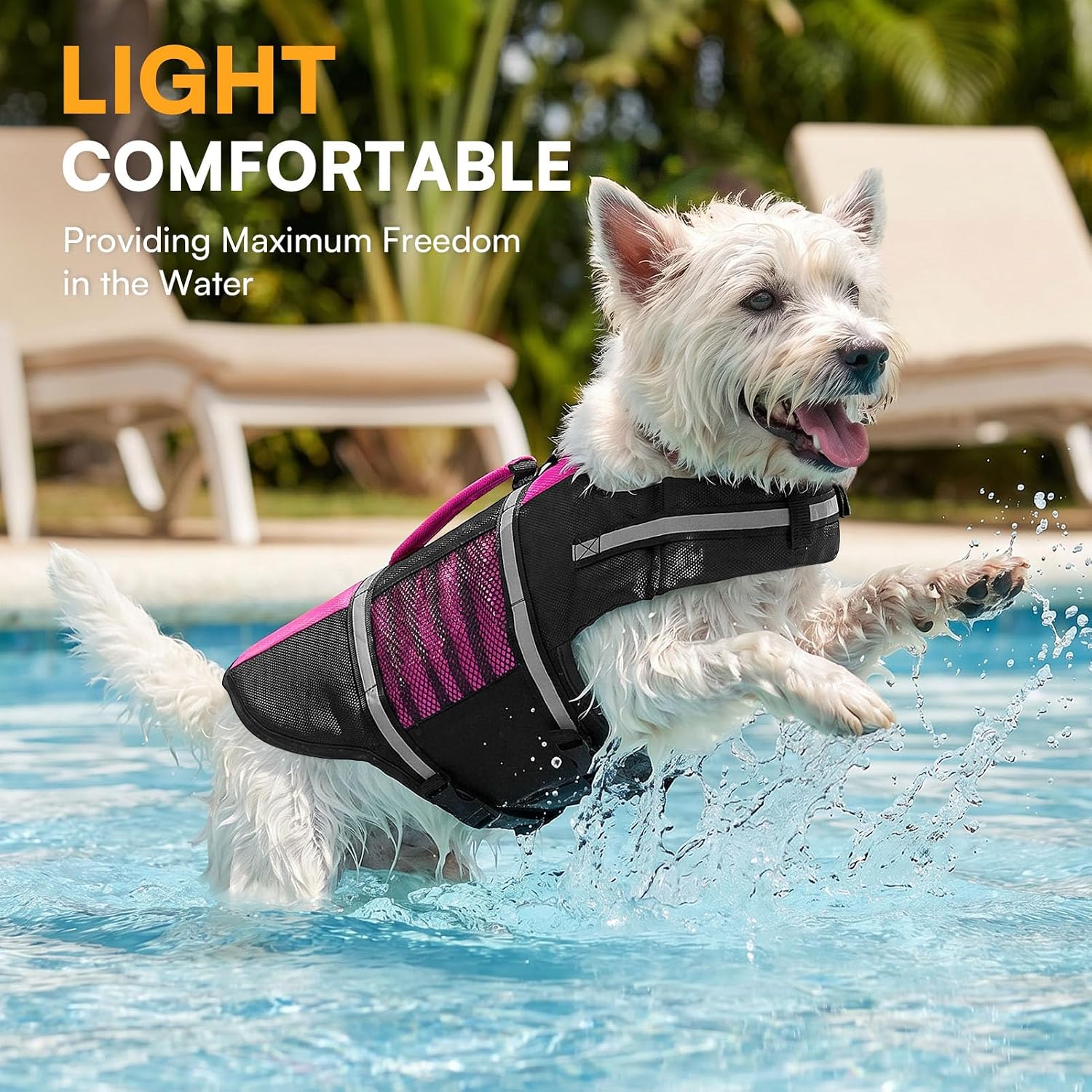 Lightweight non bulky small breed dog swimming safety vest