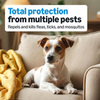 Amazon Basics topical flea treatment for medium dogs eleven to twenty pounds