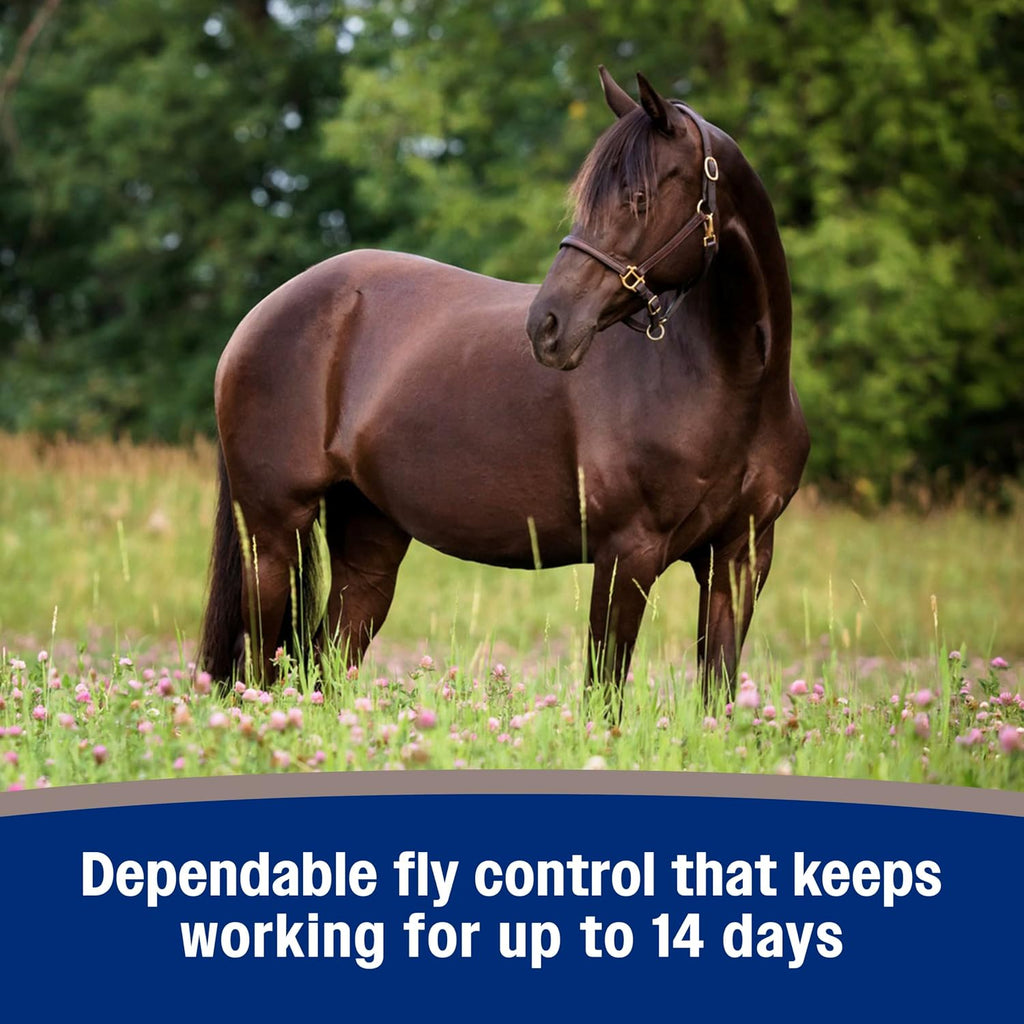 Farnam equine fly control product lifestyle display
